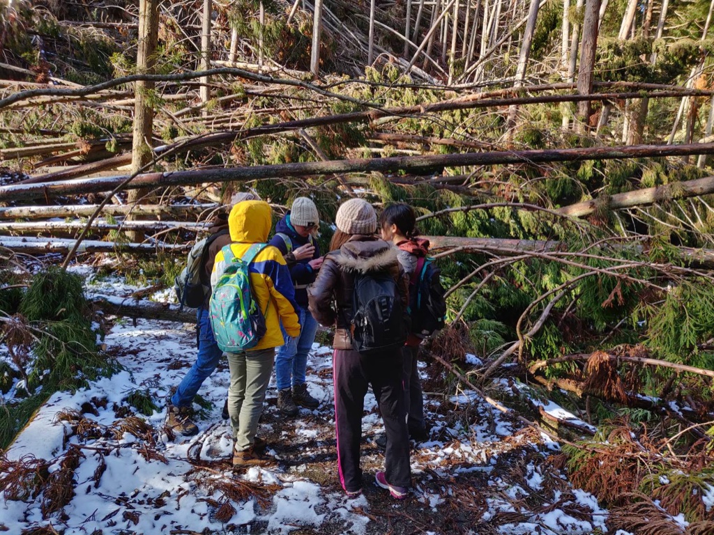 Hiking Mt. Ponpon (ポンポン山) – Tales of trails