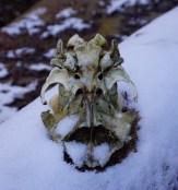 UNADJUSTEDNONRAW_thumb_1b06a