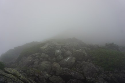 199A0AE6-6C87-48FE-8DE3-B89C446DB8E8_1_105_c