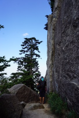 43FF883F-85C4-4474-885A-3C7814DF3BA0_1_105_c